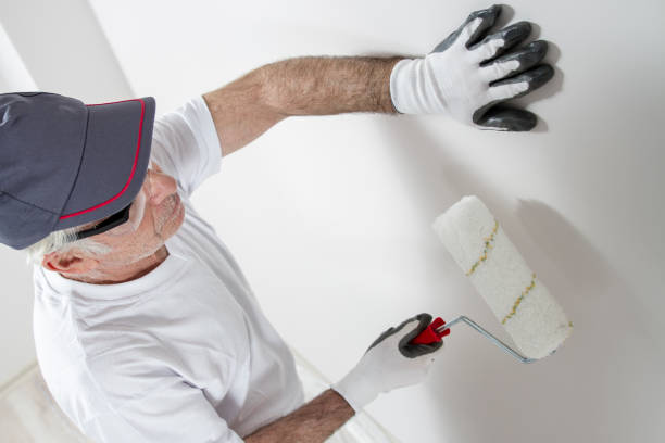 Trusted Commerce City, CO Mold Removal Experts
