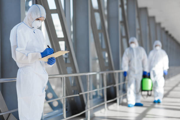 Best Black Mold Removal  in Mmerce City, CO